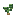 Batata, estágio 3