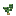Cebola, estágio 3