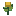 Girassol, estágio 3