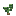 Inhame, estágio 3