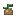 Inhame, estágio 4