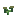 Morango, estágio 2