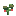 Morango, estágio 3