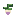 Nabo, estágio 4