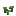 Pimenta, estágio 2