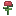 Ruibarbo, estágio 4