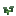 Uva, estágio 2